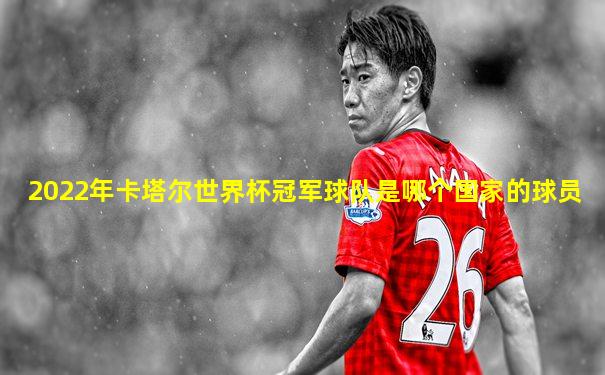 2022年卡塔尔世界杯冠军球队是哪个国家的球员