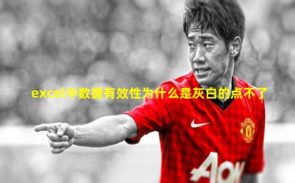 excel中数据有效性为什么是灰白的点不了