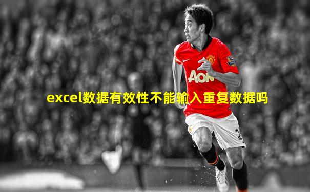 excel数据有效性不能输入重复数据吗
