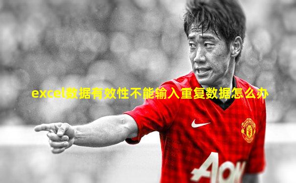 excel数据有效性不能输入重复数据怎么办