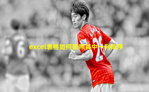 excel表格如何按照其中一列排序