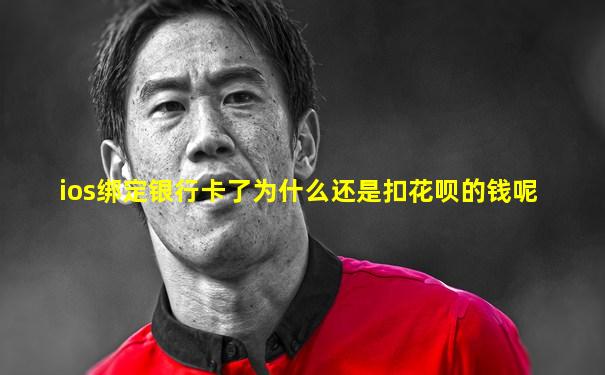 ios绑定银行卡了为什么还是扣花呗的钱呢