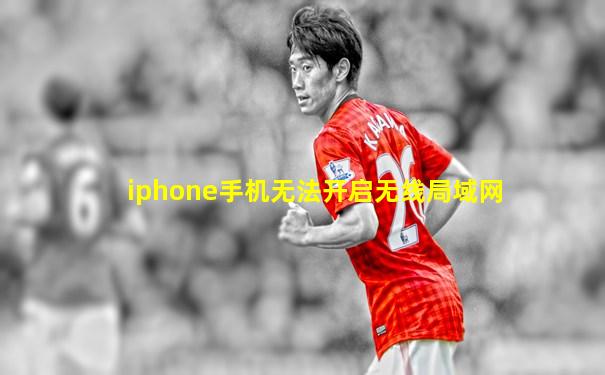 iphone手机无法开启无线局域网