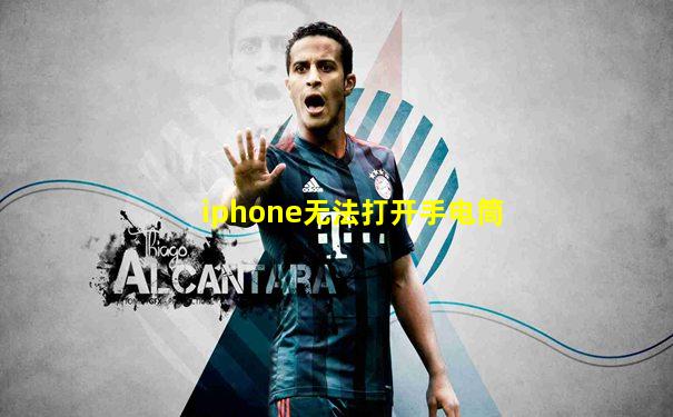 iphone无法打开手电筒