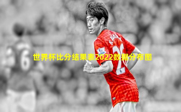 世界杯比分结果表2022数据分布图