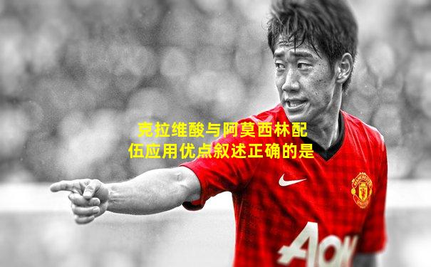 克拉维酸与阿莫西林配伍应用优点叙述正确的是