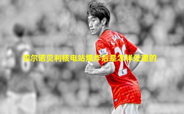 切尔诺贝利核电站爆炸后是怎样处理的