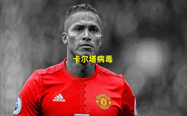 卡尔塔病毒