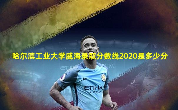 哈尔滨工业大学威海录取分数线2020是多少分