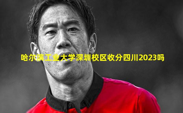 哈尔滨工业大学深圳校区收分四川2023吗
