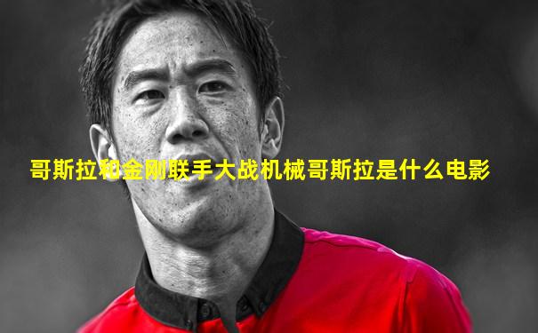 哥斯拉和金刚联手大战机械哥斯拉是什么电影
