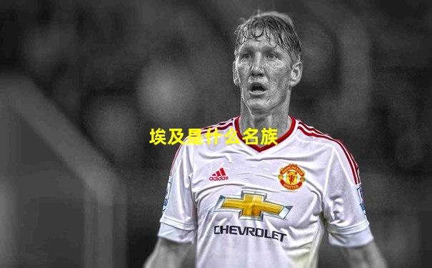 埃及是什么名族