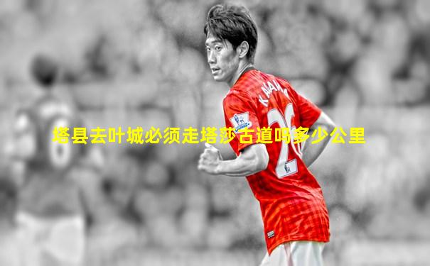 塔县去叶城必须走塔莎古道吗多少公里