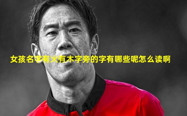 女孩名字有火有木字旁的字有哪些呢怎么读啊