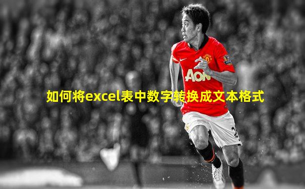 如何将excel表中数字转换成文本格式