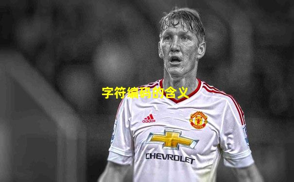 字符编码的含义