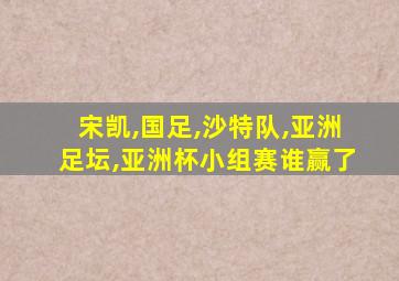 宋凯,国足,沙特队,亚洲足坛,亚洲杯小组赛谁赢了