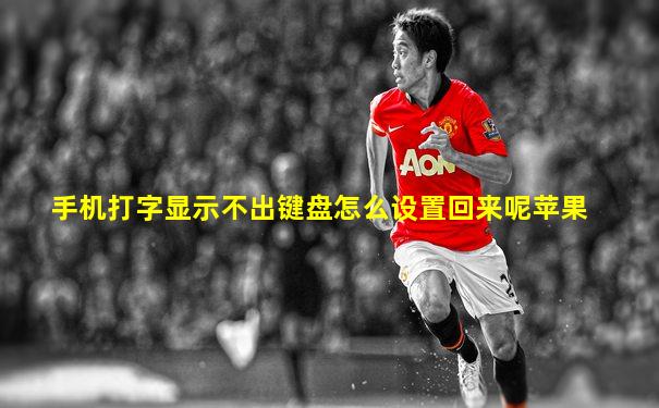 手机打字显示不出键盘怎么设置回来呢苹果