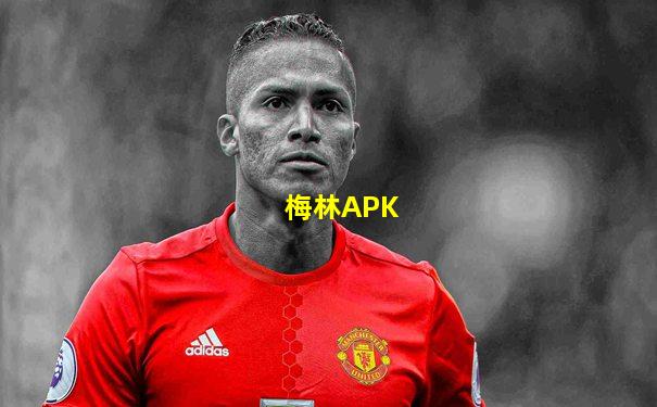 梅林APK