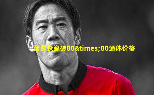 汤普森瓷砖80×80通体价格