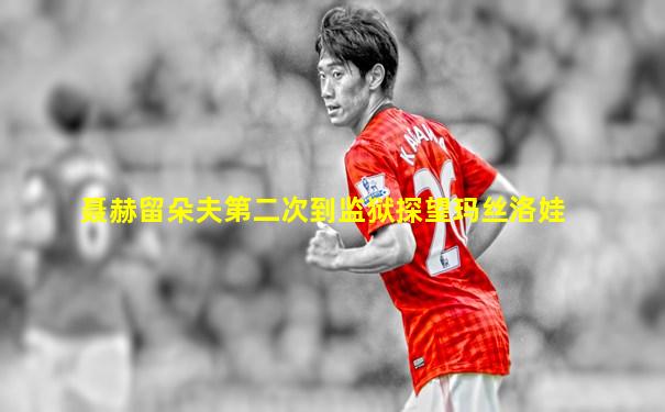 聂赫留朵夫第二次到监狱探望玛丝洛娃
