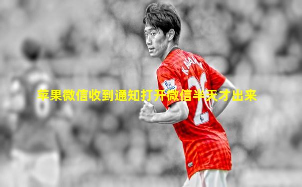 苹果微信收到通知打开微信半天才出来
