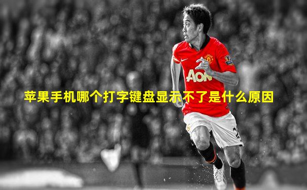 苹果手机哪个打字键盘显示不了是什么原因