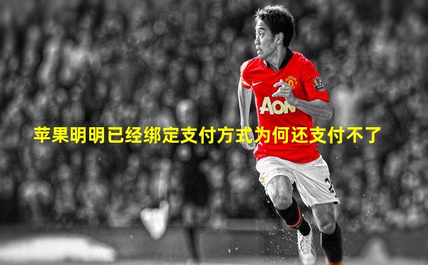 苹果明明已经绑定支付方式为何还支付不了