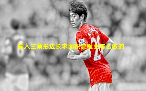 输入三角形边长求面积流程图怎么做的